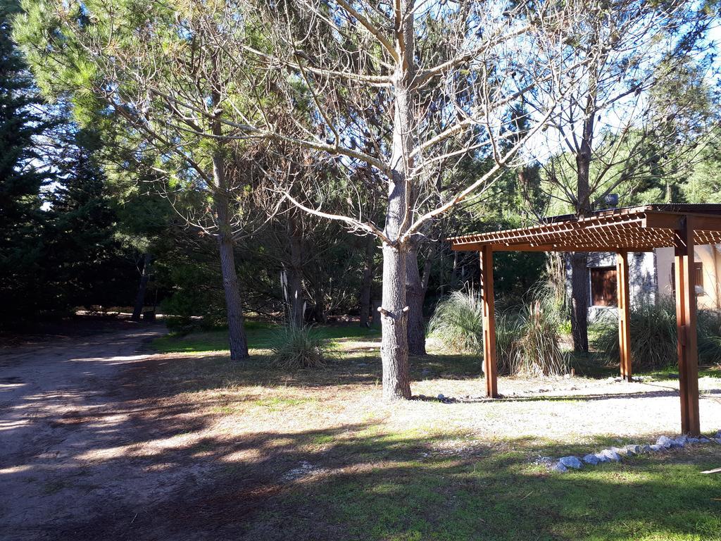 La Gringa, Un Espacio Unico En El Medio Del Bosque 마르 데 라스 팜파스 외부 사진